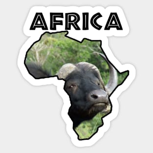 Africa Wildlife Continent Buffalo Grass Sticker